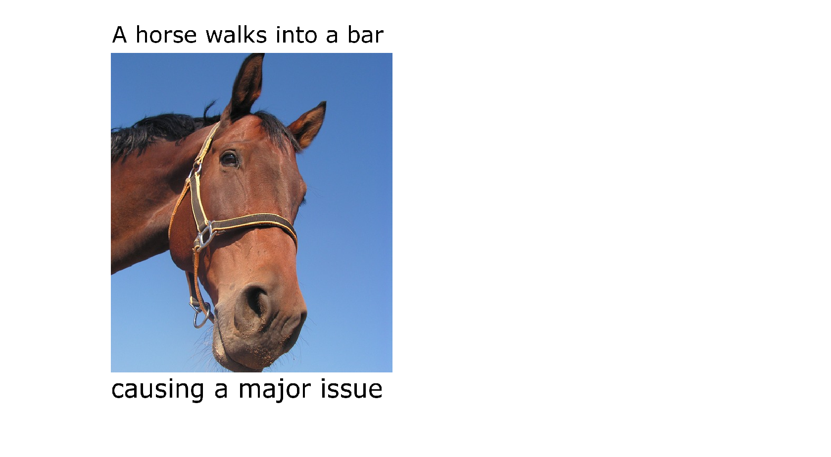 Horse walks into bar